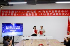 柳州市正正在加速建立“10+N”现代化工
